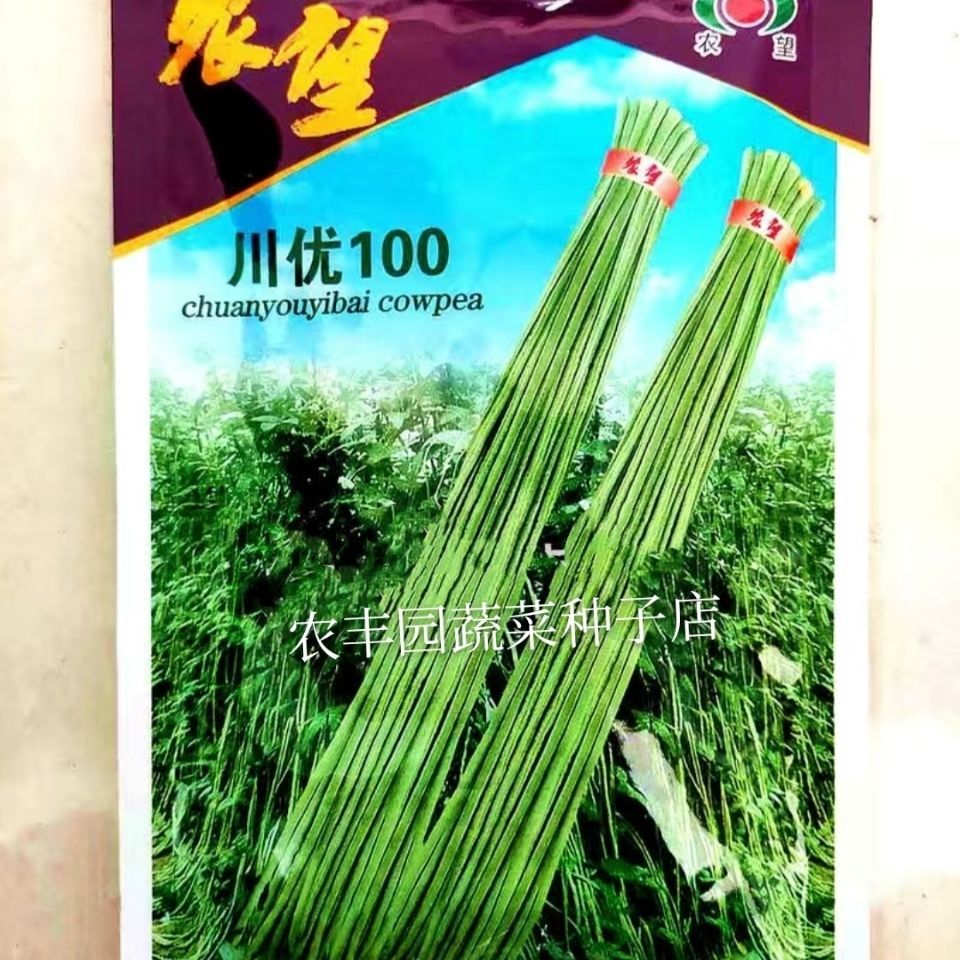 架豆王种子 豇豆种子川优100豇豆种子早熟荚淡绿色不易早衰不易鼓籽豇豆
