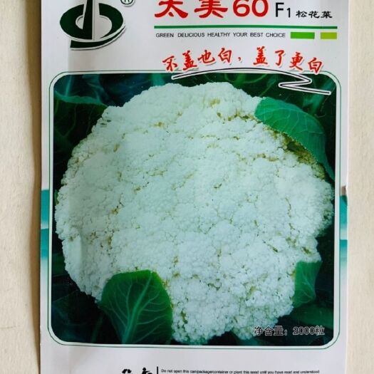 沭阳县 松花菜种太美60松花菜种子中早熟青梗小米粒属高品质松花菜种子