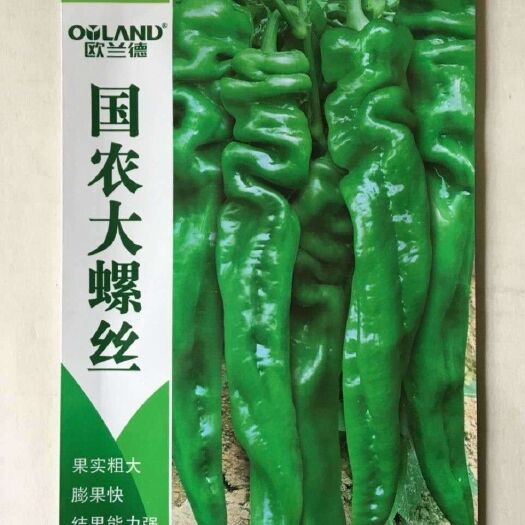 沭阳县 欧兰德辣椒种子高产国农大螺丝椒特辣果实粗大四季蔬菜种籽子大全