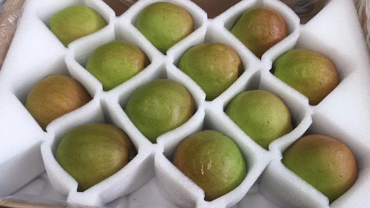 精品玉露香梨产地直销