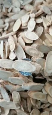 北芪黄芪切片新货无硫各规格齐全批零兼营