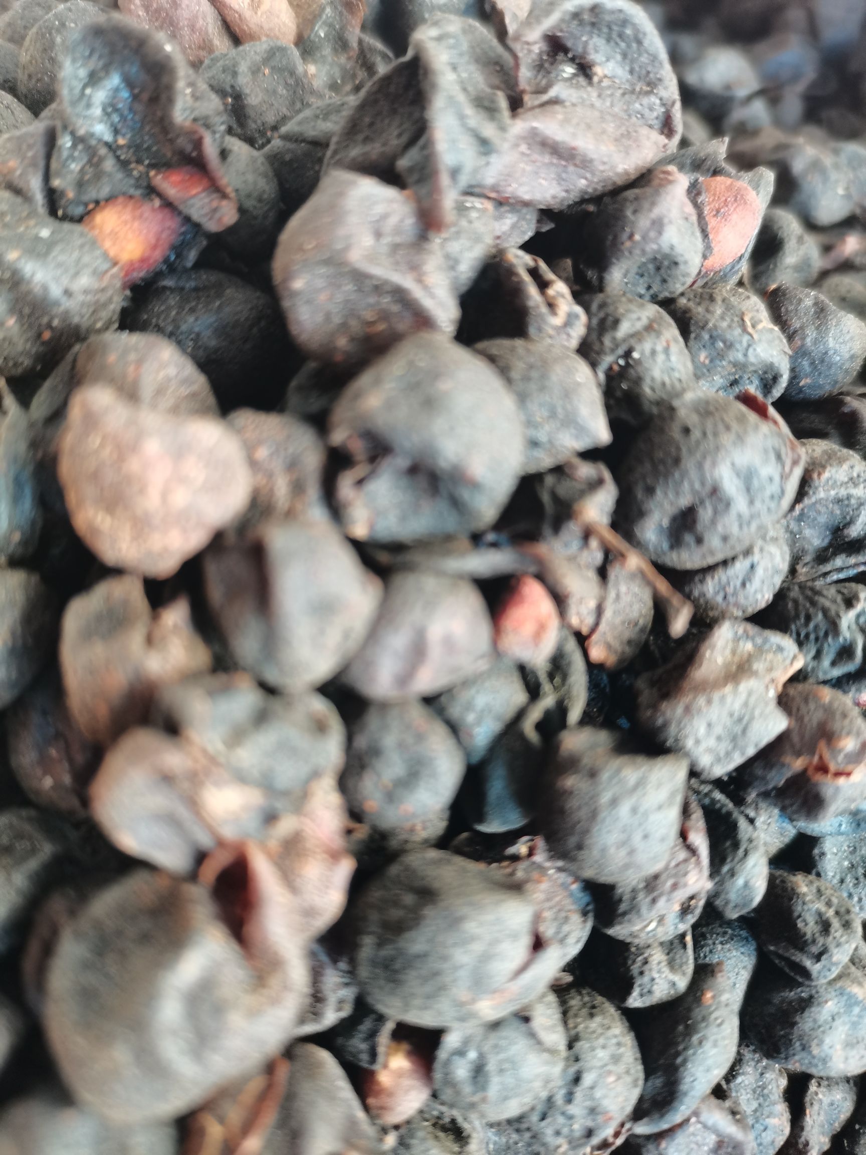 广西山黄皮干药食两用，精品，统货，大量供应，批零兼营