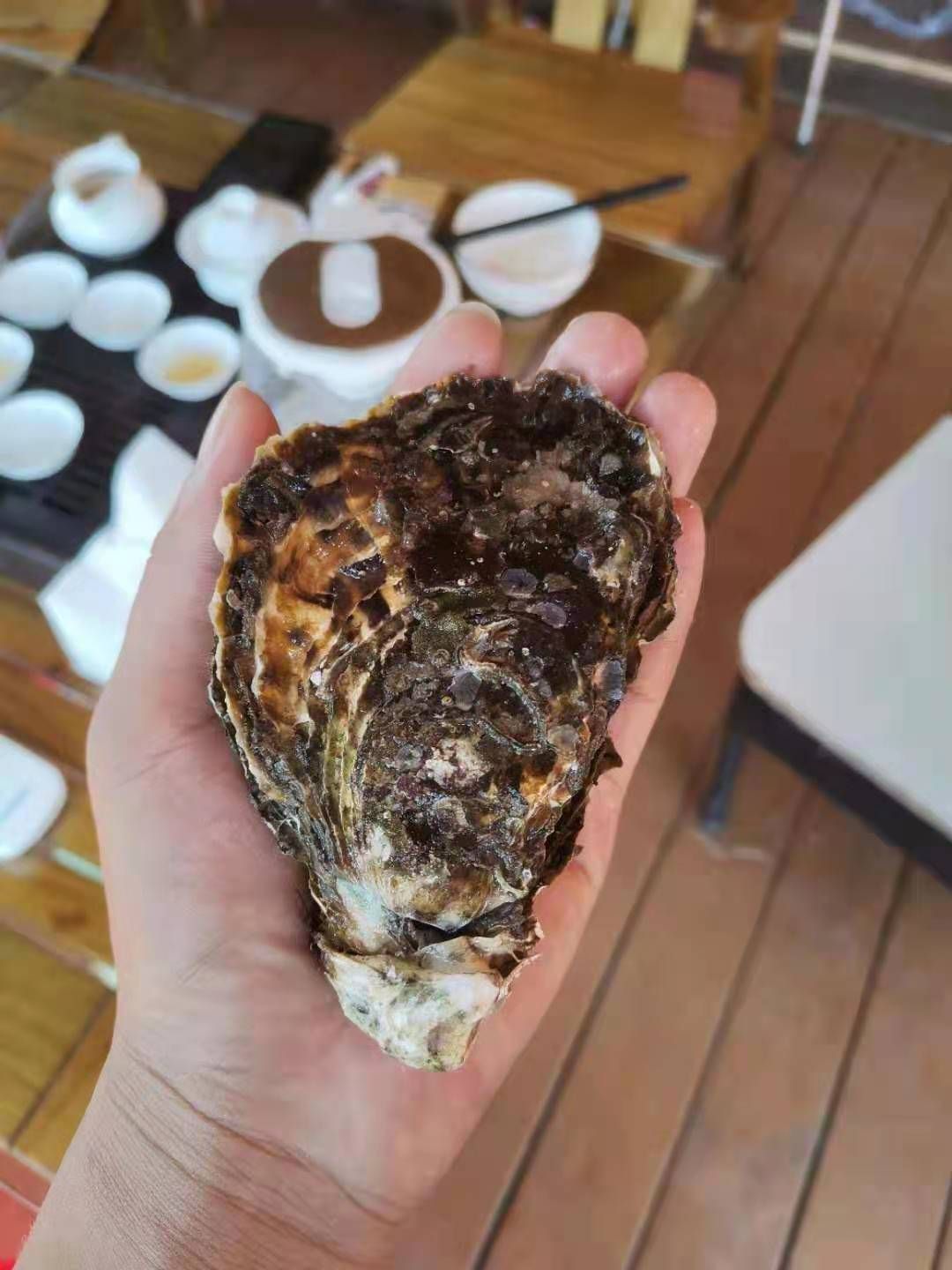  三倍体生蚝 养殖基地直批 量大从优