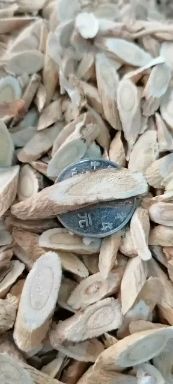北芪黄芪切片新货无硫各规格齐全批零兼营