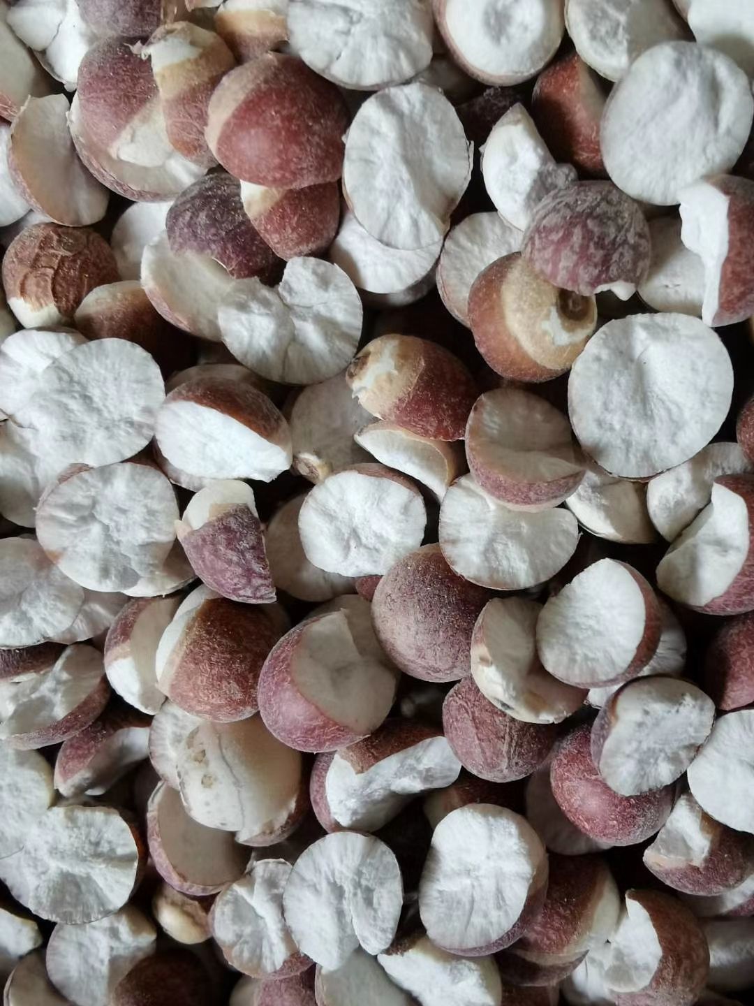 江西佘干芡实鸡头米新货无硫，各规格齐全大货供应批零兼营