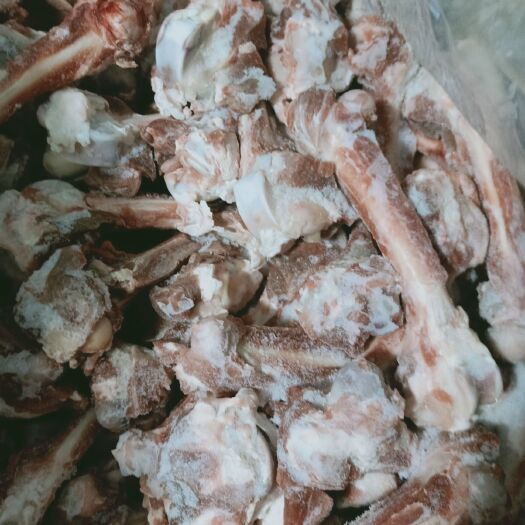 锡林浩特羊肉类 内蒙古锡林浩特市羊棒骨肉大的满满的骨髓油，营养健康有商业价值