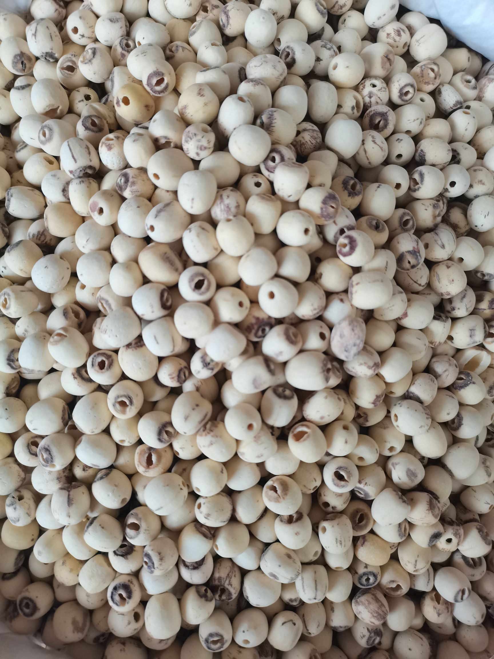 白莲 湖南湘潭白磨皮莲子新货无硫各规格齐全大量供应批零兼营