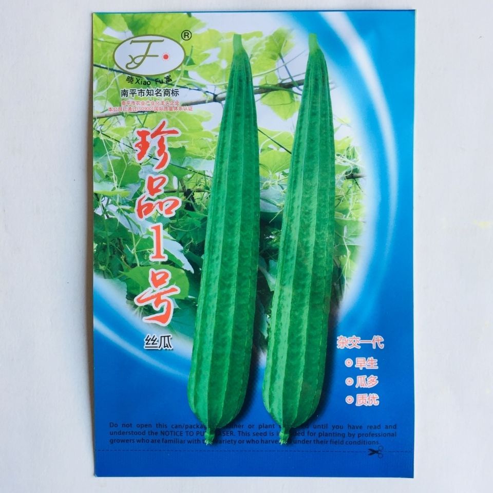 沭阳县 丝瓜种子珍品1号丝瓜种子早熟丝瓜种子瓜皮翠绿肉质脆嫩丝瓜种子