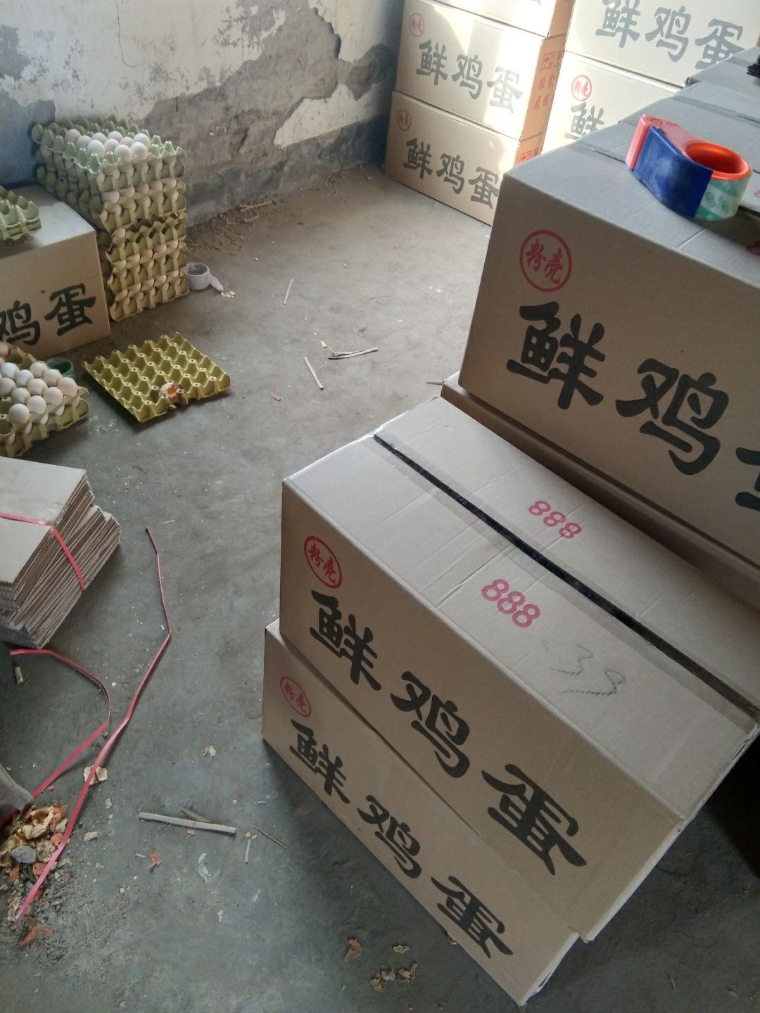 普通鸡蛋 产区直销，大量现货，可按需包装