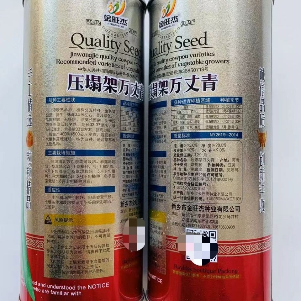 架豆王种子 四季豆种子压塌架万丈青无筋架豆王荚浅绿色抗病力强的四季豆种子