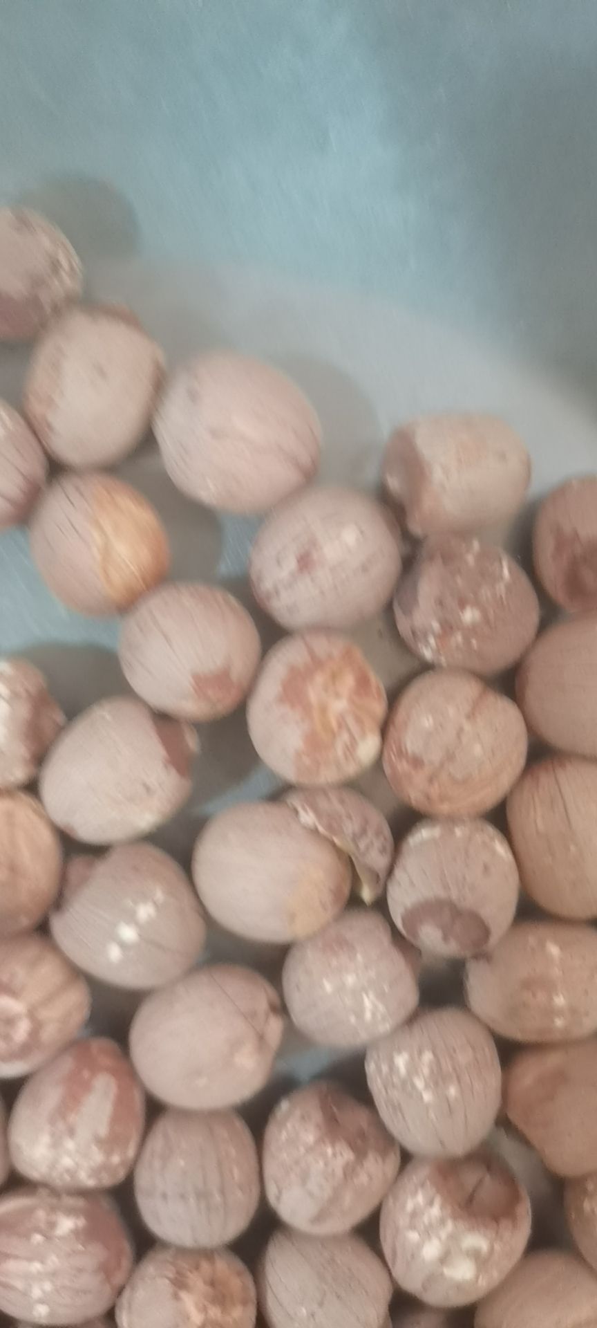 湖南湘潭红莲个子半开红边莲半开白边莲，新货无硫大量供应批零