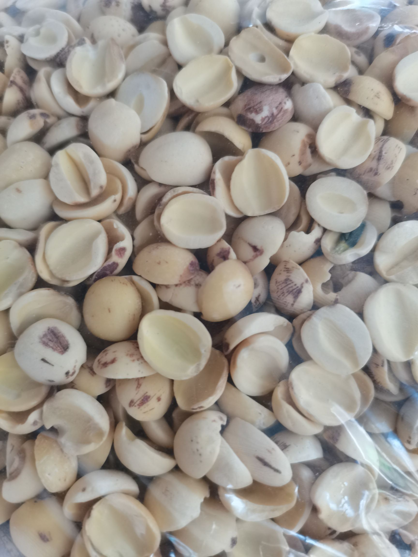 白莲 湖南湘潭白磨皮莲子新货无硫各规格齐全大量供应批零兼营