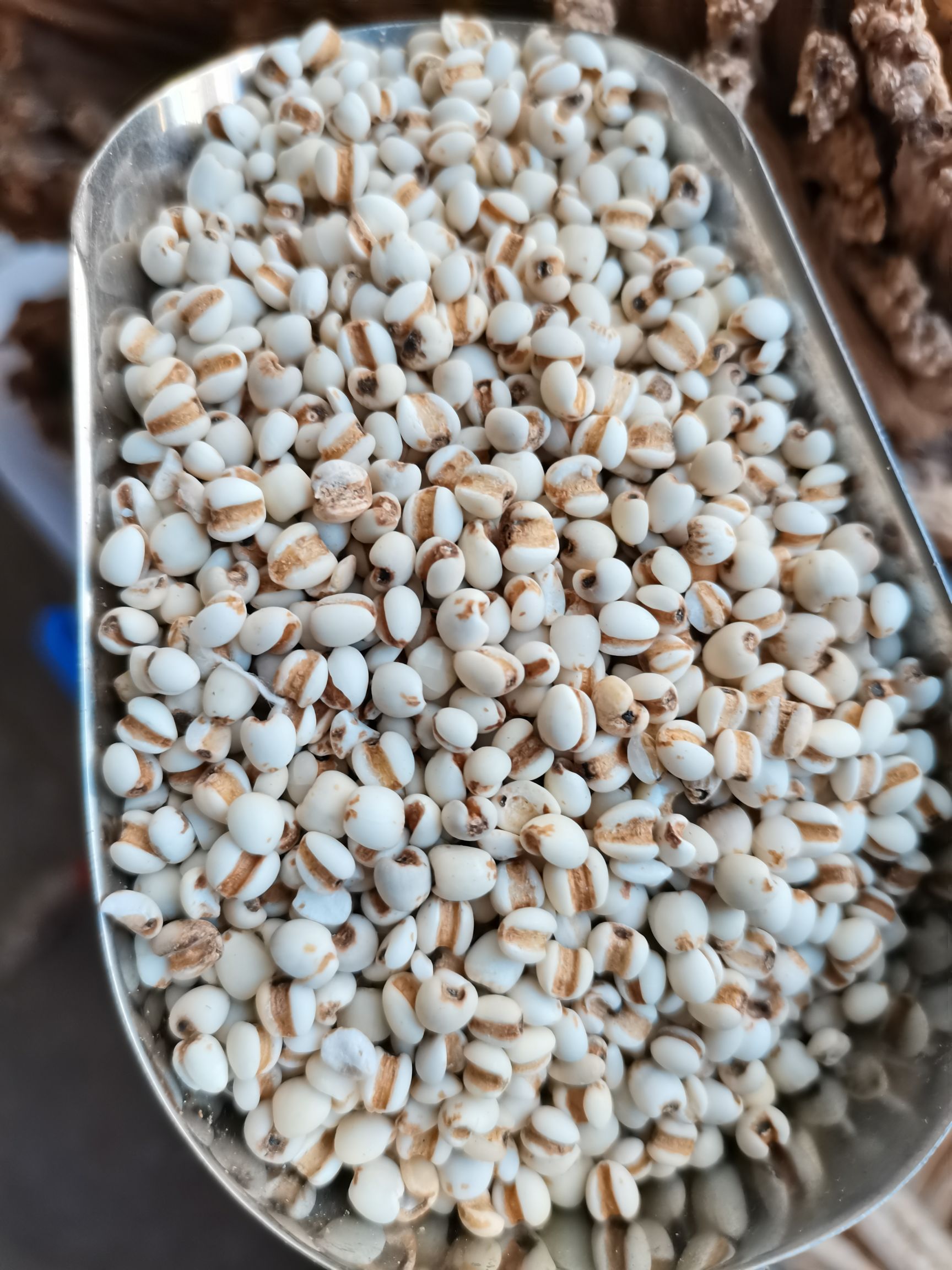 生薏仁  贵州小薏米，大薏米，新货无硫，大量供应，批零兼营