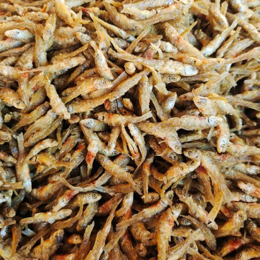 聊城麦穗鱼干  油炸小仔鱼，现货供应