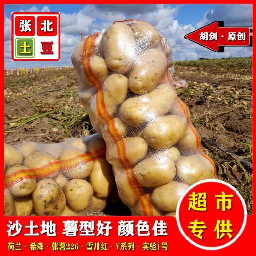 张北县河北张家口张北县黄皮黄心土豆 希森 V7 雪川红产地批发