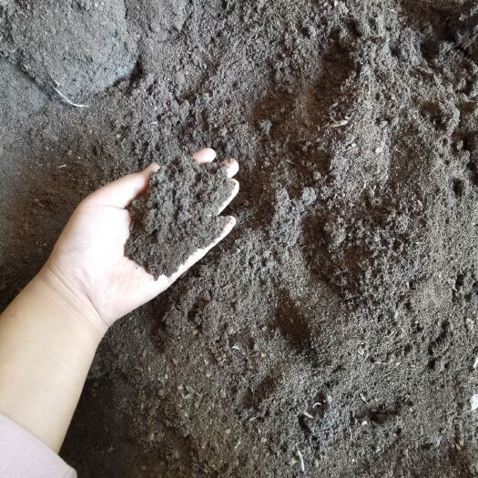 青岛 青岛胶南发酵兔粪散装