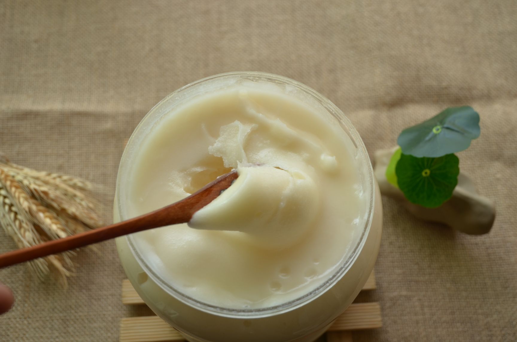 柑橘蜜  产地直供四川眉山柑橘花蜂蜜农家纯橘花蜜