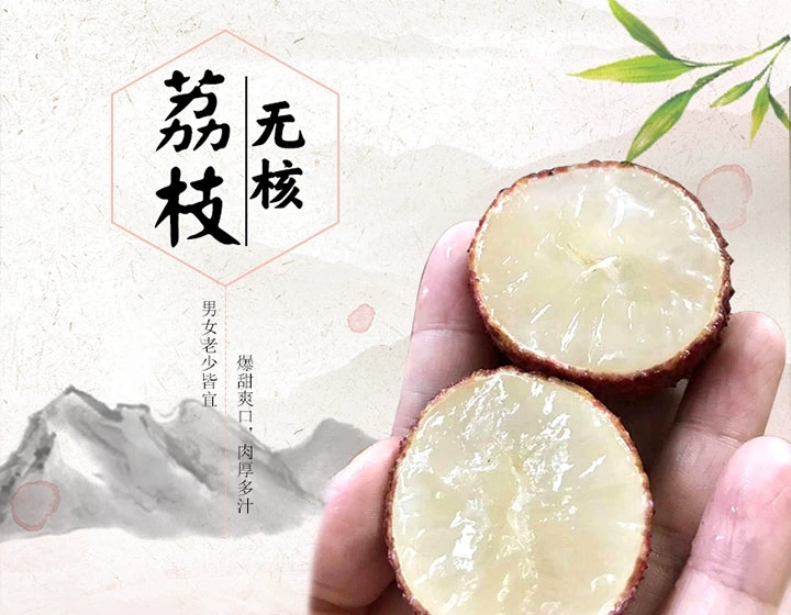 包邮荔枝苗 无核荔枝苗 桂味荔枝苗妃子笑荔枝苗荔枝树苗盆栽果