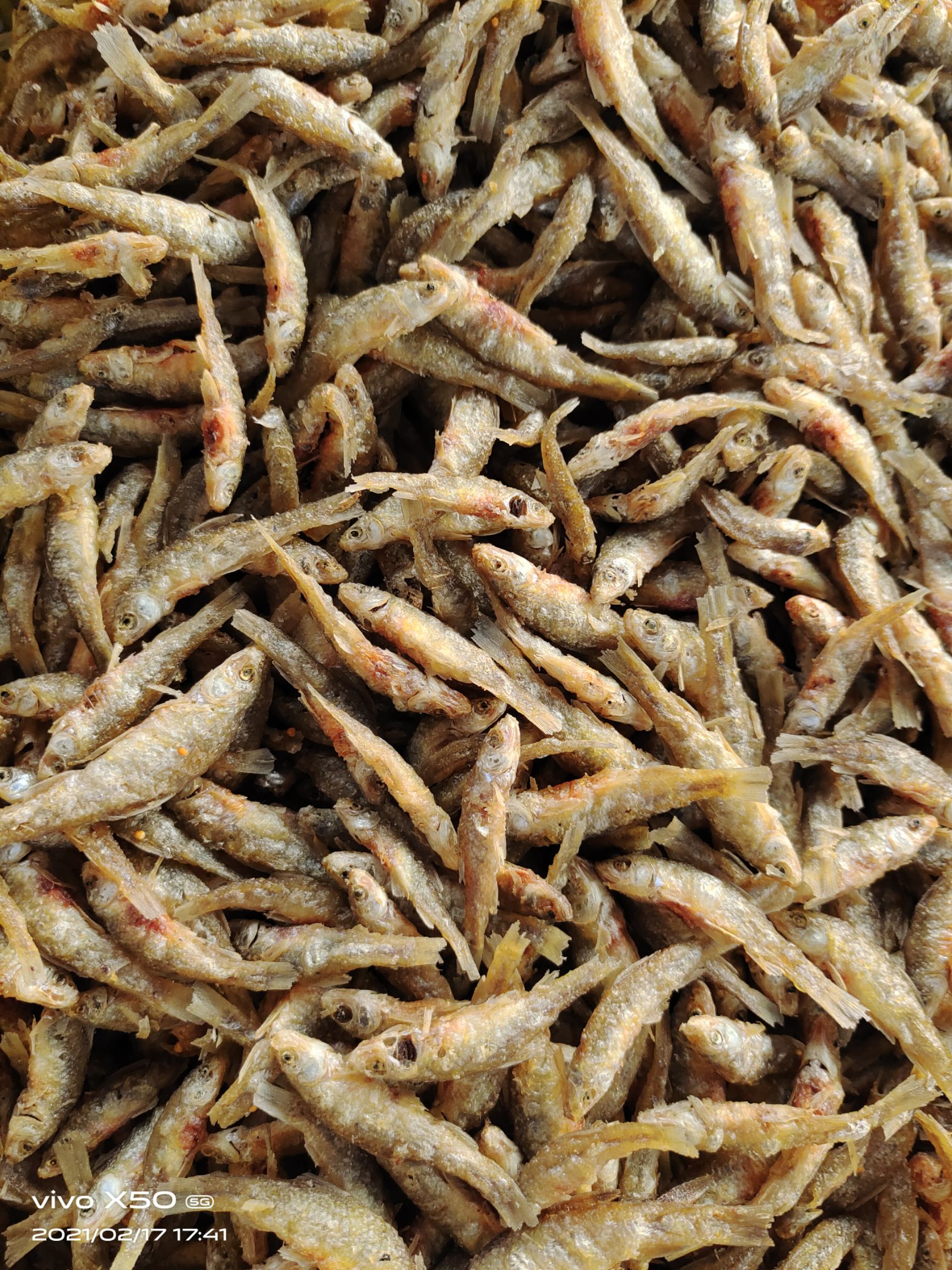 麦穗鱼干  油炸小麦穗，现货供应