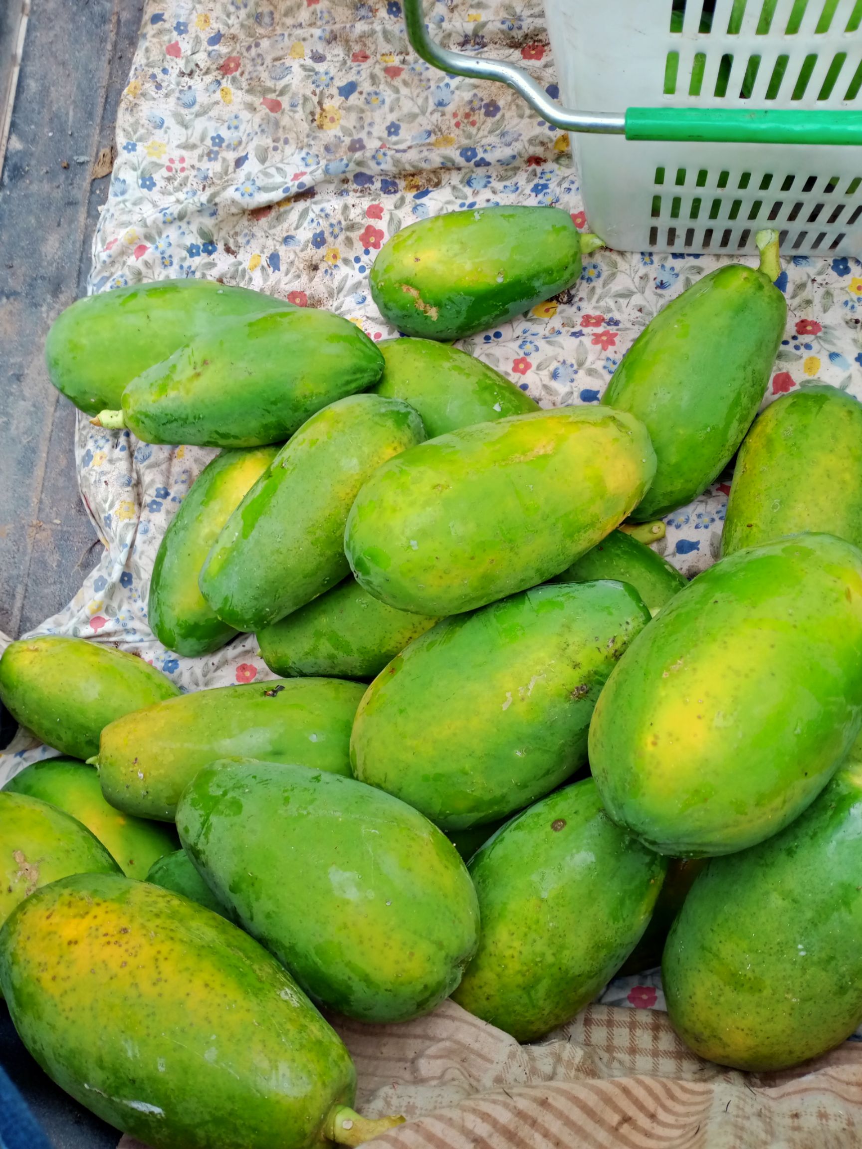 大白木瓜 红心木瓜