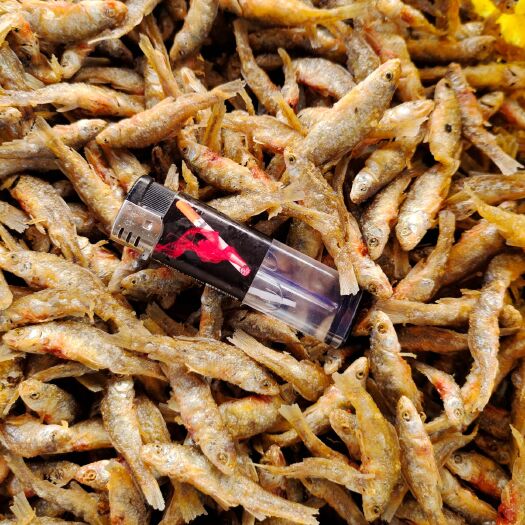 聊城麦穗鱼干  油炸小麦穗