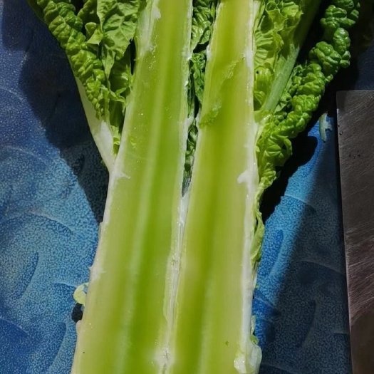 惠州 红叶莴笋大量上市，价格便宜