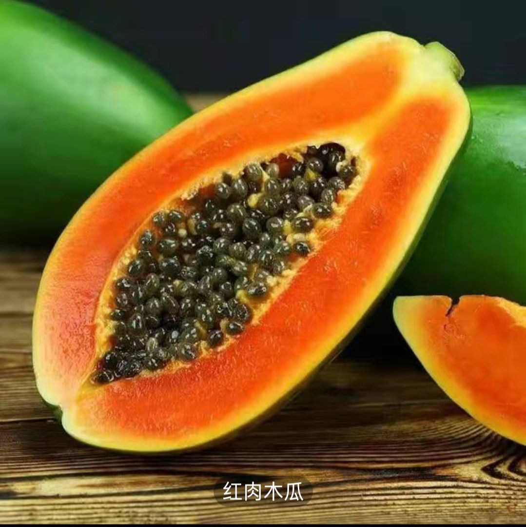 红心木瓜苗  红心牛奶木瓜苗、大青木瓜苗种植6个月可以结果