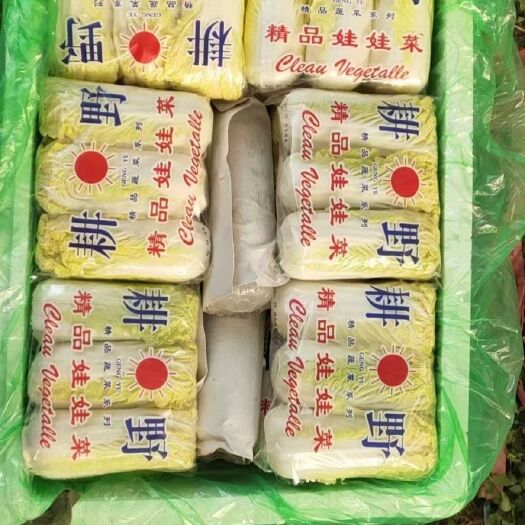 邯郸 大量供应，黄心娃娃菜质量优良！需要的老板联系我