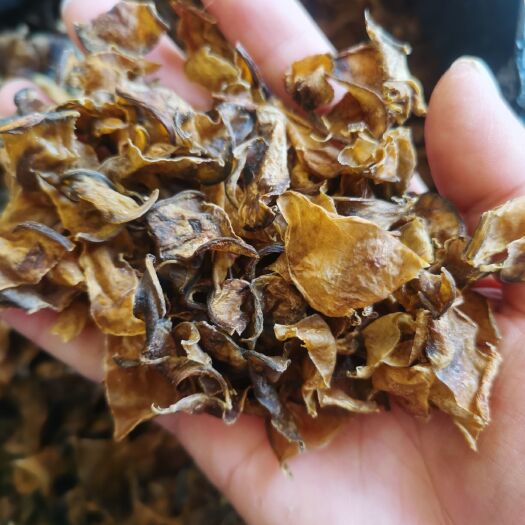 蕲春县干扁豆  扁豆角