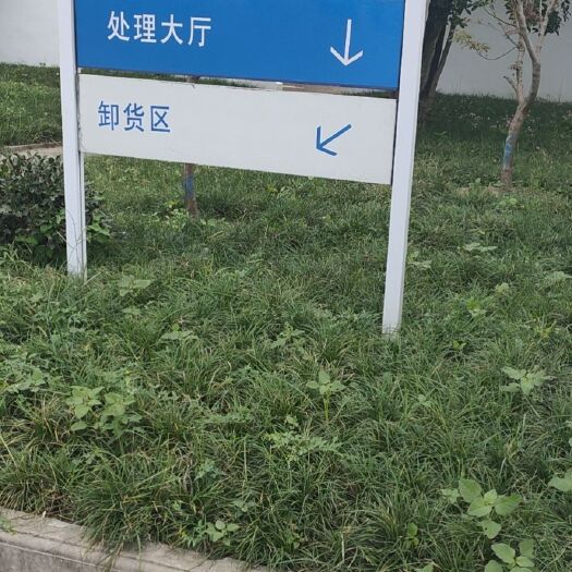 岳西县旱地 有山地数十亩，求合作或出租