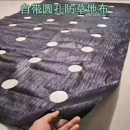 青州市 打孔防草布，抗老化