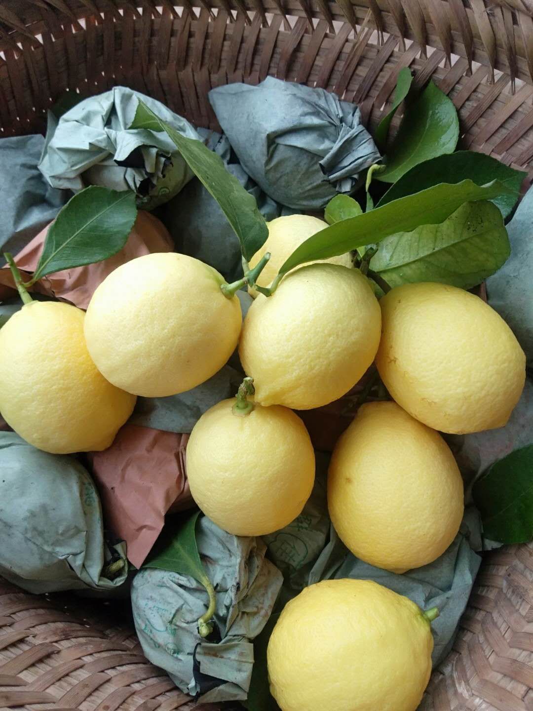 尤力克柠檬   安岳黄柠檬 小果，餐饮，奶茶店，榨汁皆宜