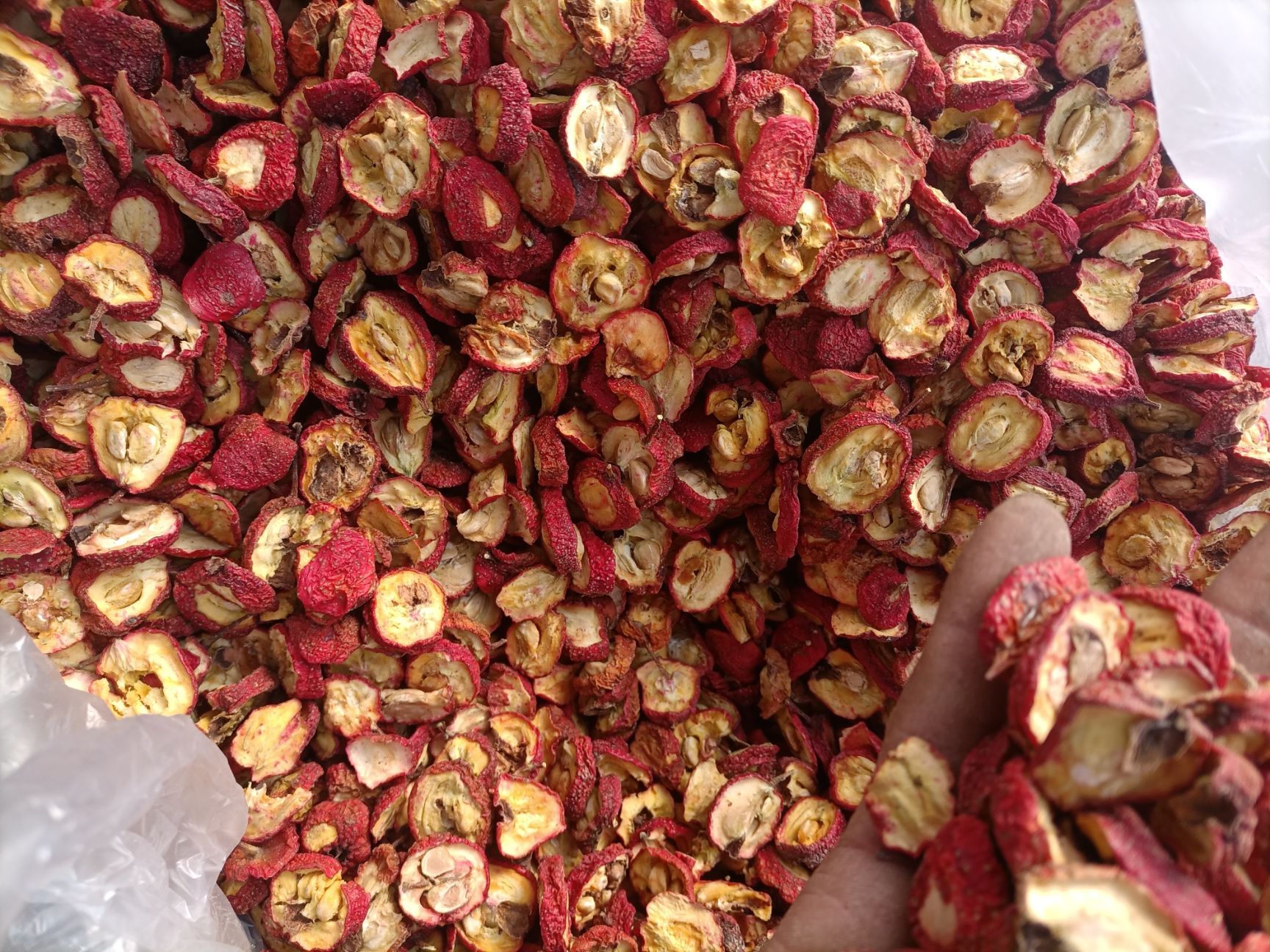 山楂干 山东省临沂市平邑县 6-12个月