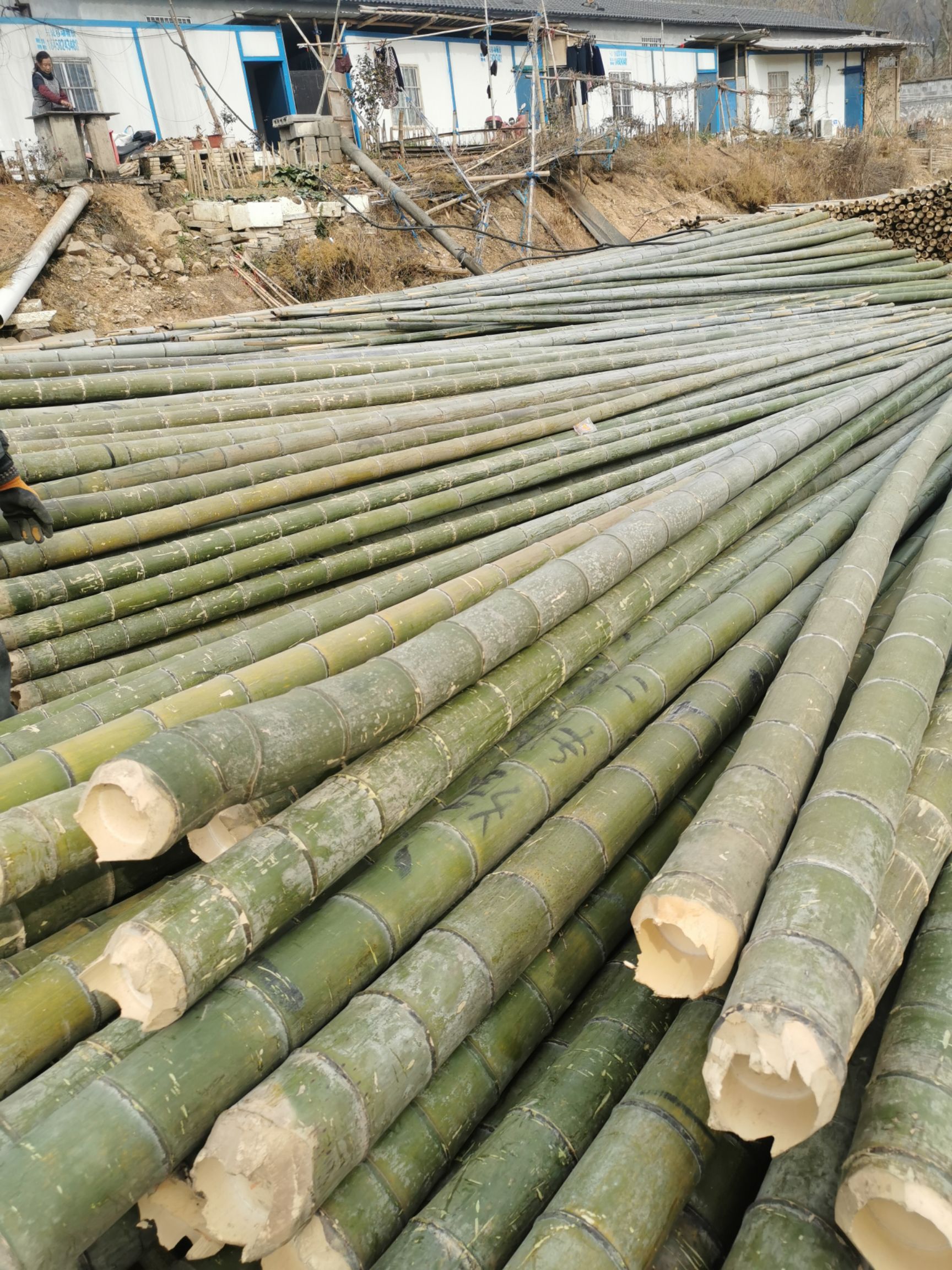 竹竿  楠竹货源地批发毛竹高压线搭架用大毛竹规格齐全量大从优