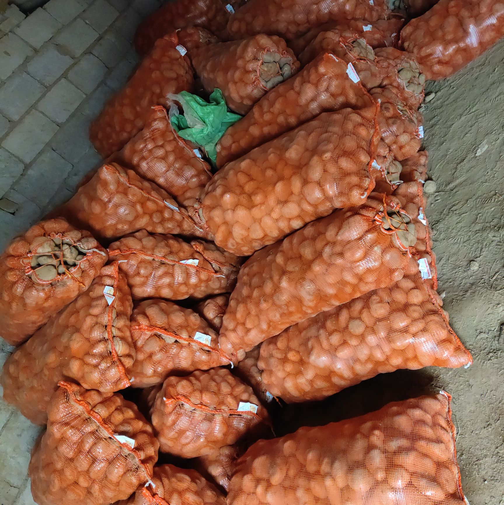 大白花土豆  专业批发正规农家土豆