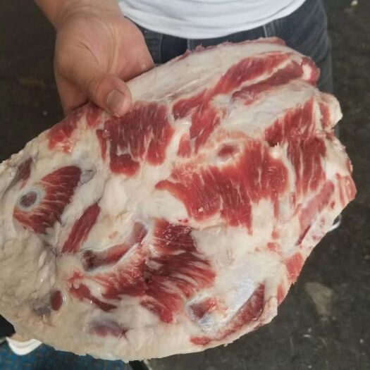 河间市牛骨 冻品牛胸骨熬汤