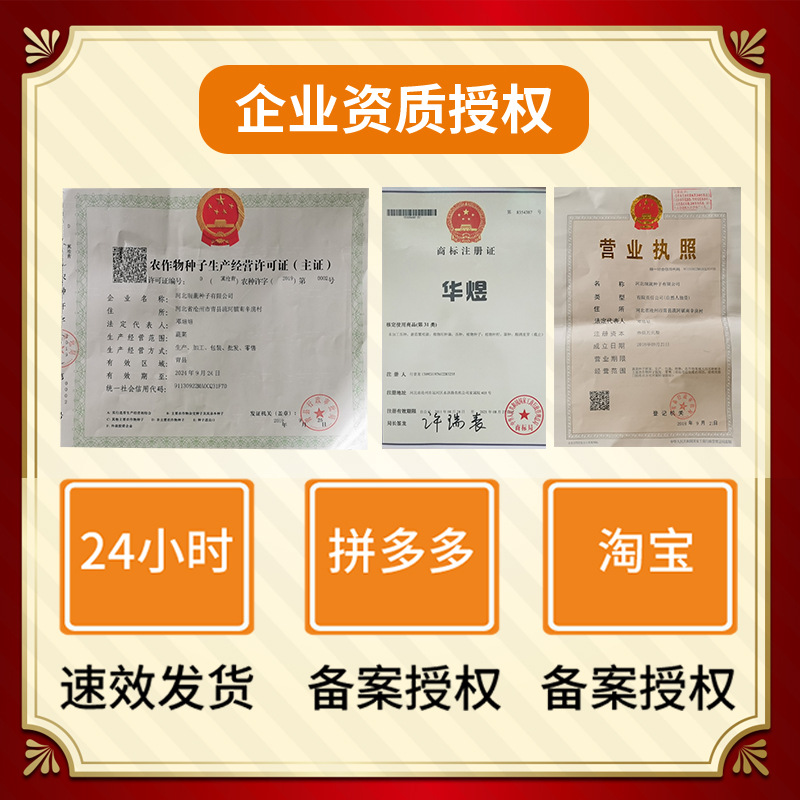 冀农619玉米种子  德惠农甜美218鲜食玉米种子 大穗抗倒黄靓甜糯黄玉米棒子籽