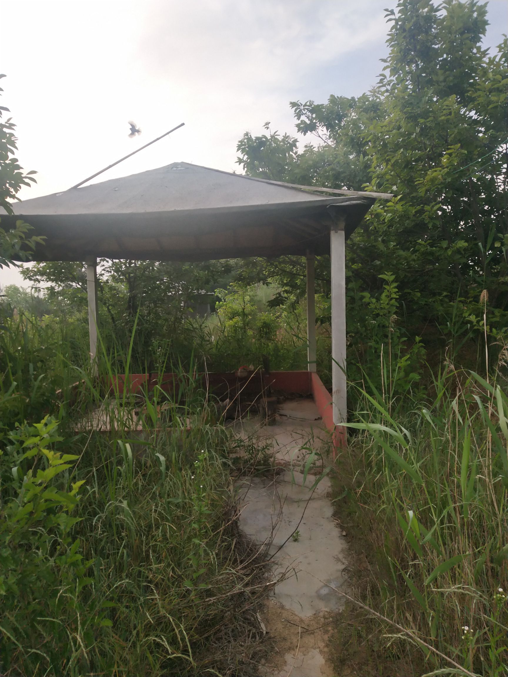 苗圃  果园，基本农田100亩，水电路通，喜欢的欢迎来洽谈，价格面议