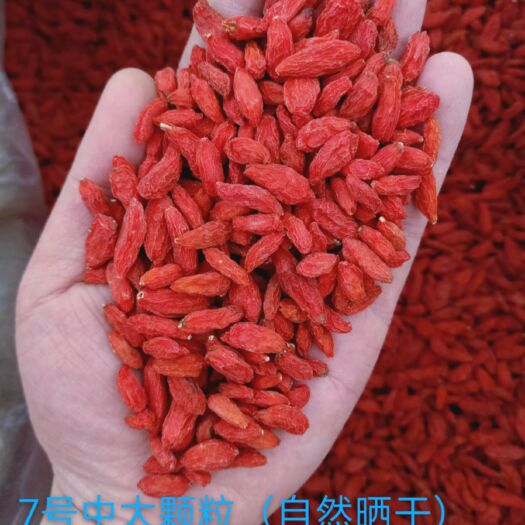 固原红枸杞 宁杞7号，自然晒干，口感独特，手工采摘，手工挑选，