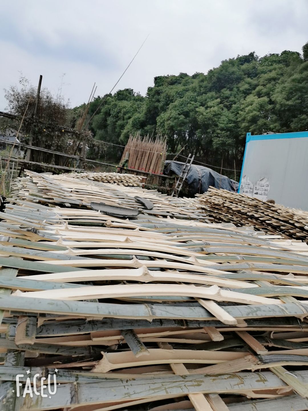  厂家供应毛竹片 安全笆 竹笆片 脚手片规格齐全量大从优