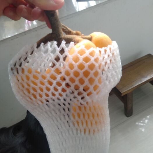 汉源县米易枇杷 川早枇杷
