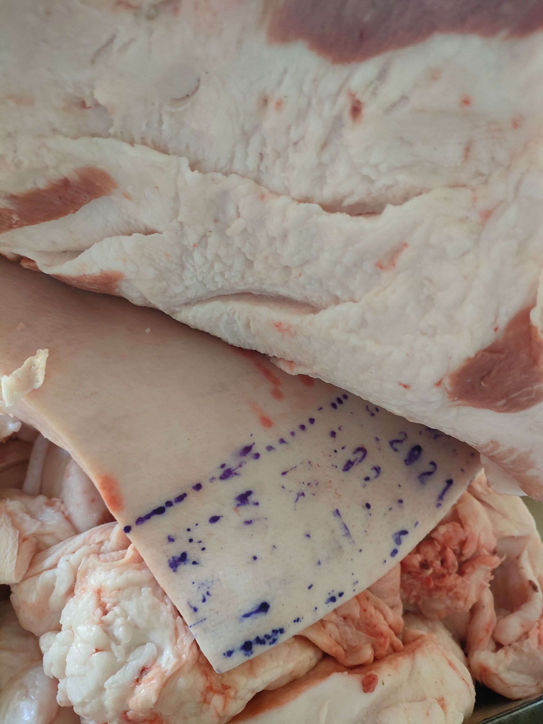 猪肥膘  新鲜肥膘，可去皮