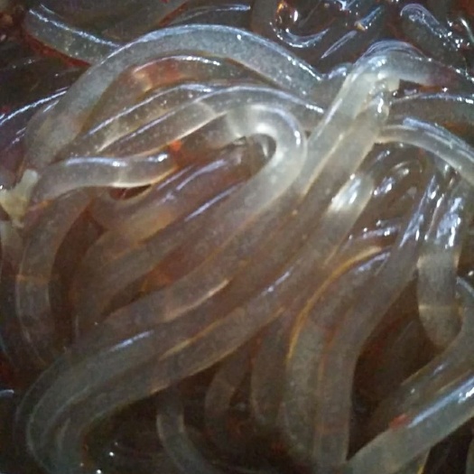 粉丝粉条  龙河红薯粉条