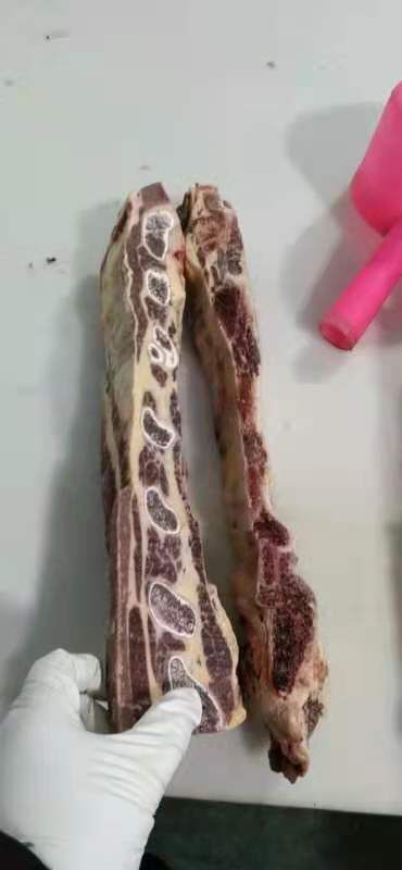 阳信县牛排 厂家大量批发多肉牛胸排切段