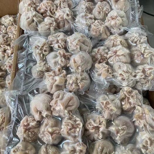 锡林浩特羊肚 