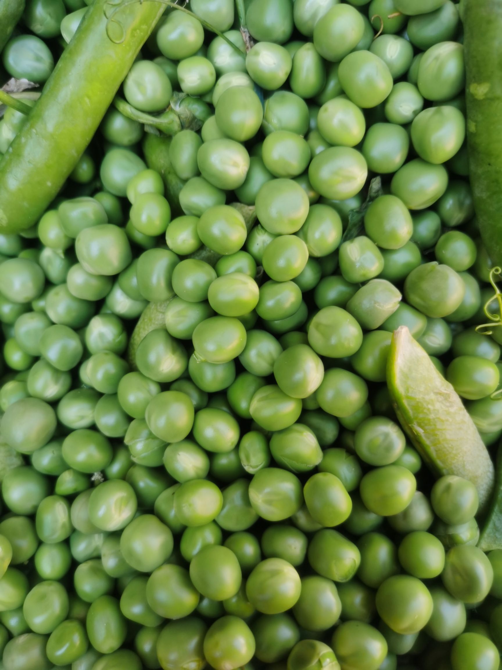 云南特产长寿仁豌豆米豌豆荚