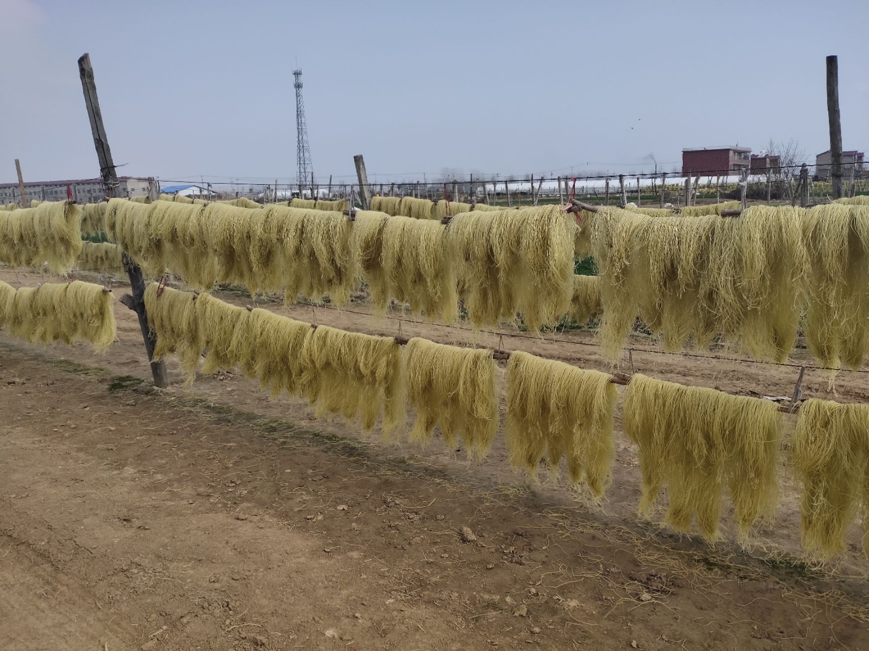 红薯粉丝 牛肉汤粉丝 包子粉丝 火锅粉丝 木薯粉丝