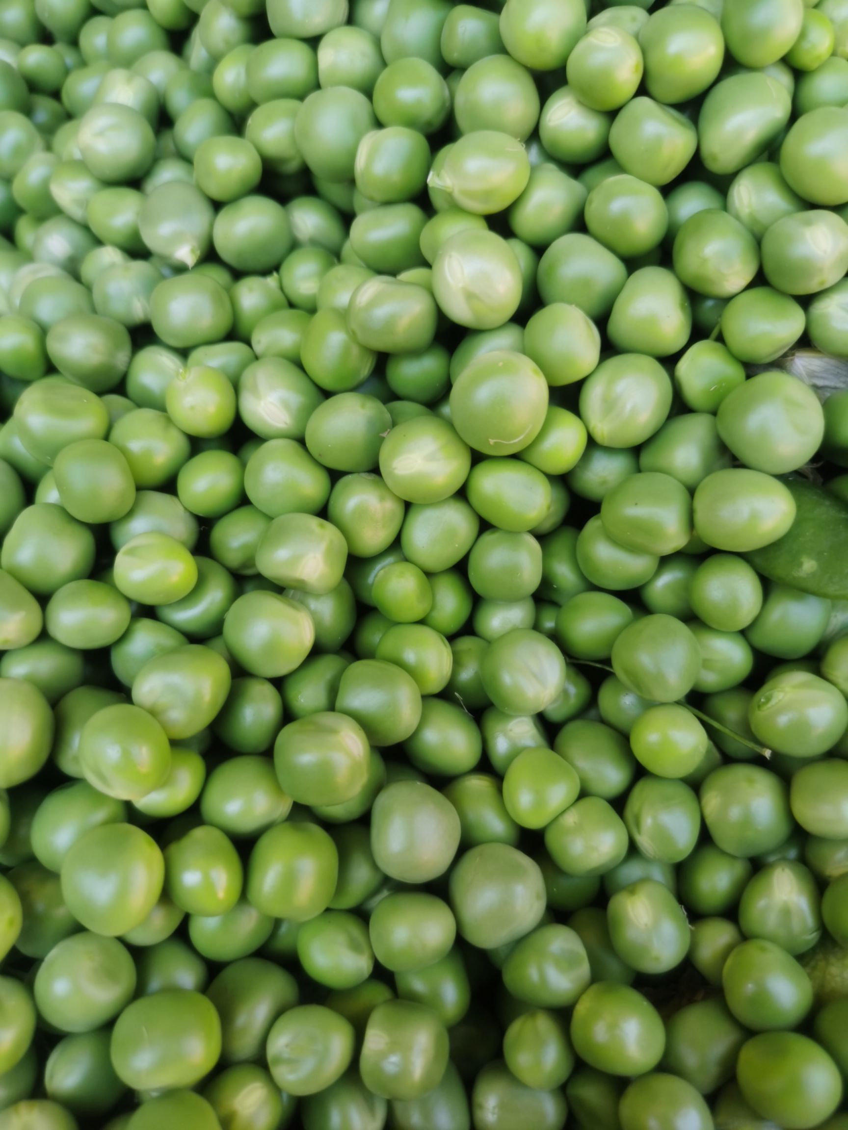 云南特产长寿仁豌豆米豌豆荚