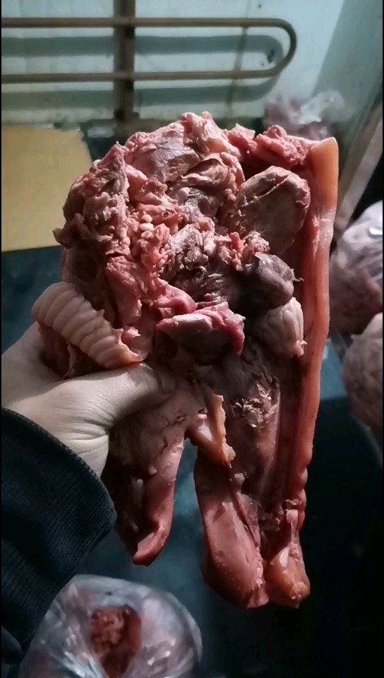 猪头 肉 好的头肉