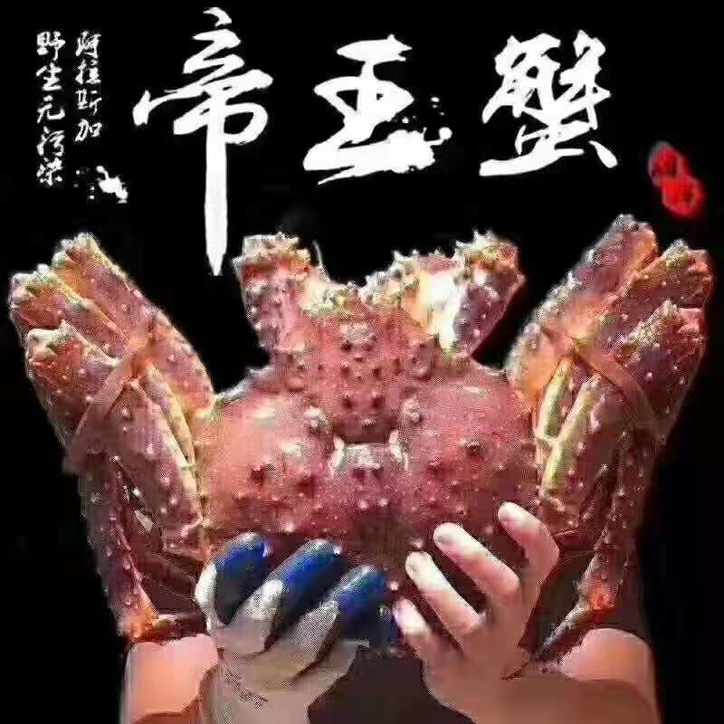  帝王蟹/蓝帝王